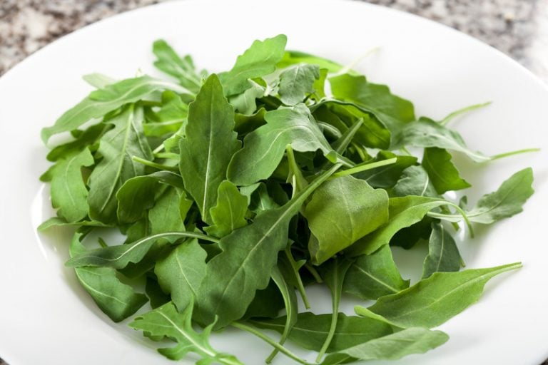 Rucola - Ricette