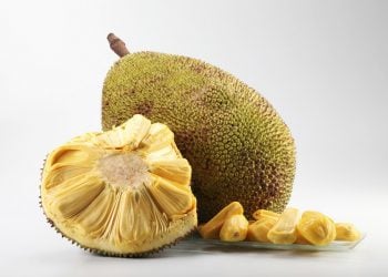 jackfruit