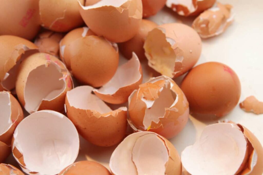 Come usare i gusci d'uova: trucco furbo